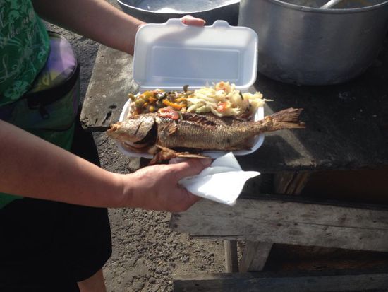 Red Snapper mit viel Reis und etwas Gemüse