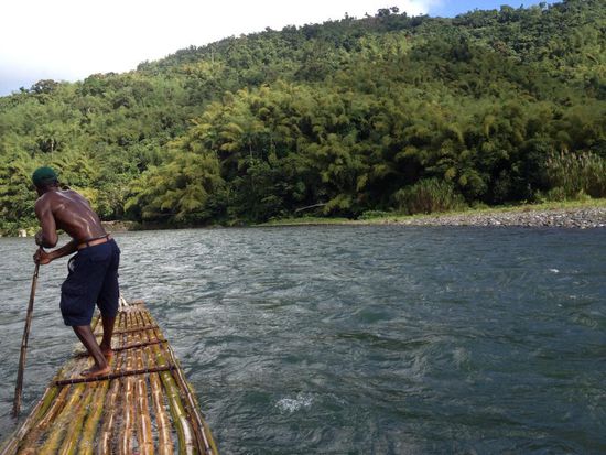 Hier kann man sehen wie anstrengend der Job von Rebbo ist..