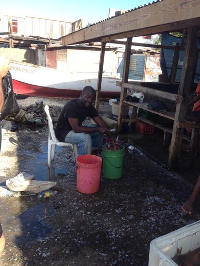 Die haben nichts dagegen dass wir sie fotografieren