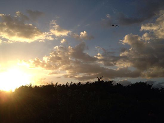 Wir besuchen gegen Abend den Strand