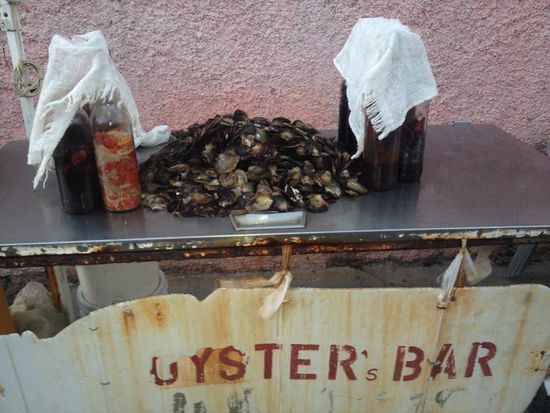Hier gibt es frische Austern mit diversen Soßen. Wir dürfen probieren..