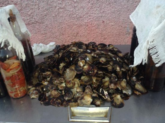 Mit einer süß-scharfen Soße schmecken die nicht schlecht--sind eben frisch!!