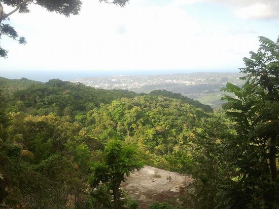 Immer mit diesem Blick auf Montego-Bay