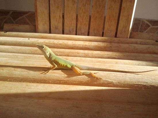 Der sitzt auf meinem Platz!!