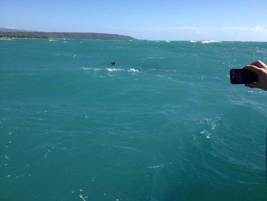 Schade, die sind einfach zu schnell