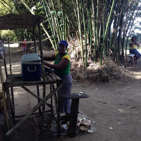 In der Allee werden überall gekühlte junge  Kokosnüsse angeboten.