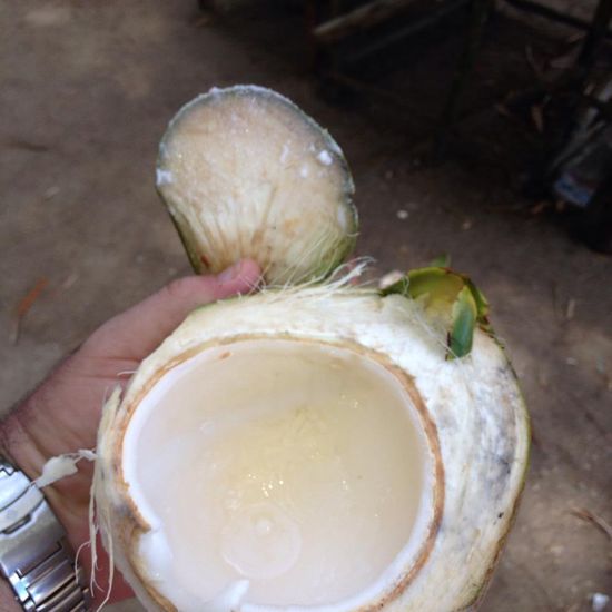 Wenn das Kokoswasser ausgetrunken ist, schneidet sie uns aus der Nuss einen "Löffel" mit dem wir das wabbelige, junge Kokosnussfleisch löffeln können