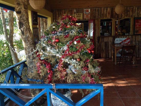 Weihnachtsbaum bei Jacks Sprat