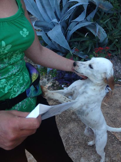 Abschied von meinem Freund....