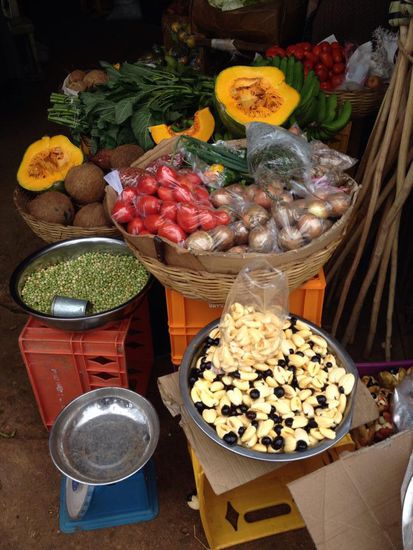 Vorne sind die Ackis--die Bäume sieht man hier viel