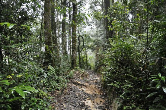 Hier machen wir eine kleine Trailtour