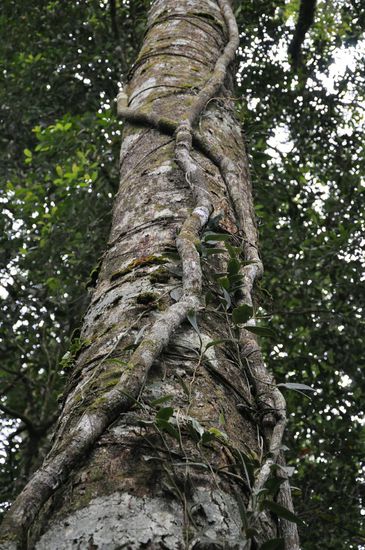 ...immer was neues zum staunen...