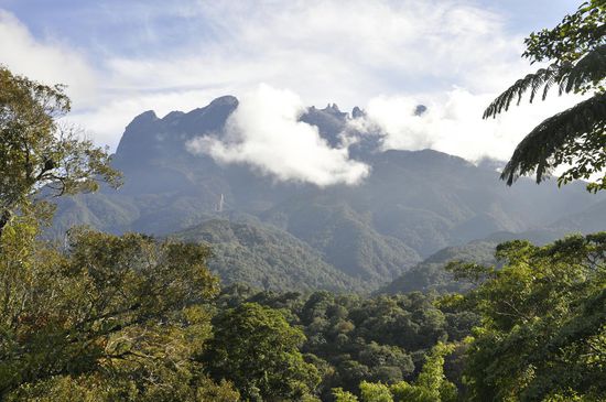 Ist er nicht großartig??