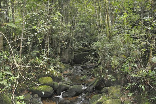 Viele Trails führen am Bach entlang