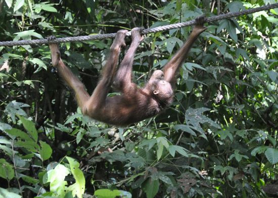 Sie spielen und essen