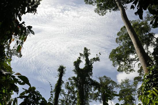 Mal einen Blick zum Himmel