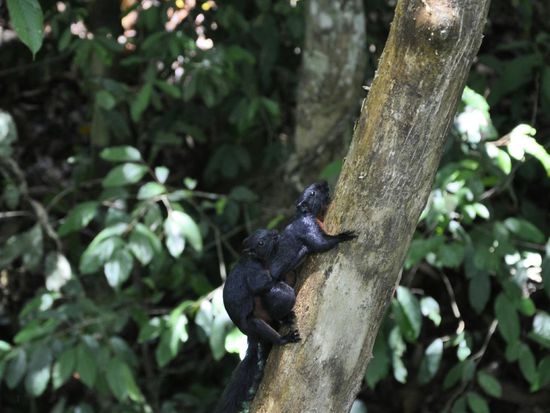 Die beiden vergnügen sich offensichtlich