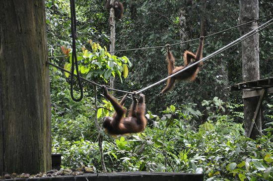 Die ist auch wieder gut besucht