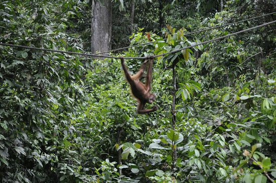Man kommt angeturnt...