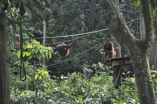 ...ganz friedlich...