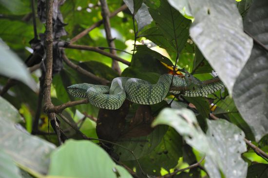 Ein paar Meter weiter sehen wir die dann noch