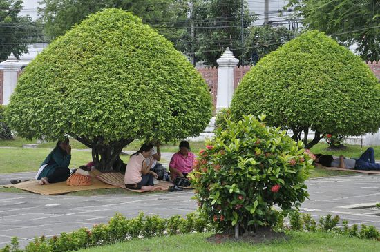 Am "Wat Benchambophit"--überall macht man es sich mit Decken gemütlich