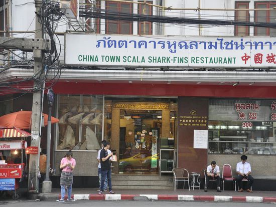 Unglaublich, ein Haifischflossen-Restaurant.