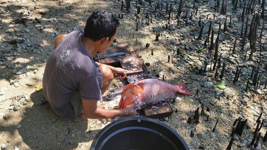 Den gab es heute Mittag. Der reichte für ca 15 Leute