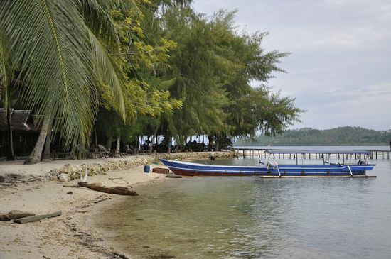Strand und Anlegestelle direkt vor den Hütten