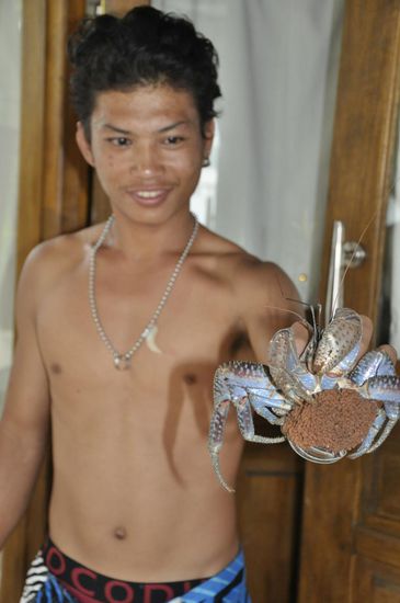 Das ist das Weibchen mit Eiern