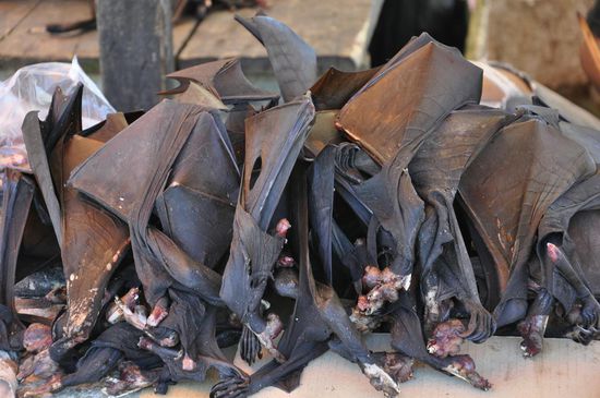 Was daraus wohl gemacht wird?