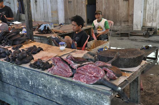 Hier stinkt es ganz furchtbar. Bei der Hitze ist das kein Wunder...