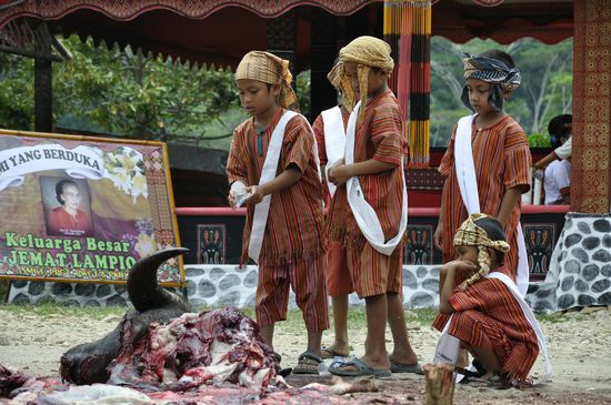 Die Kinder spielen mit den toten Büffelresten