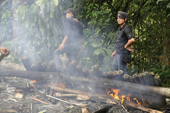 Das Schweinefleisch wird in Bambusrohren gegart