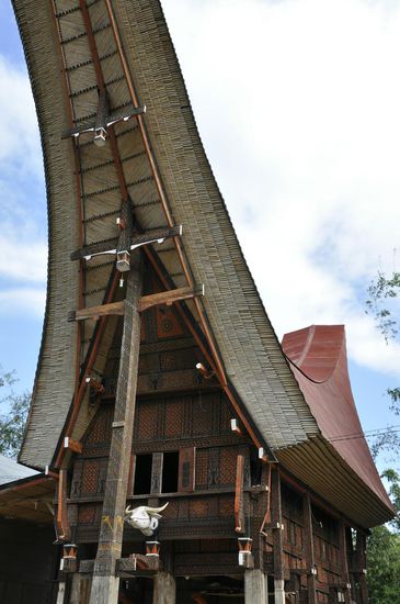 Die typischen Häuser