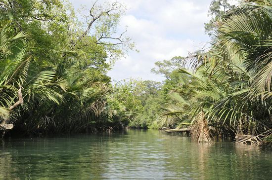 Knapp 2 Stunden fahren wir im Kajak