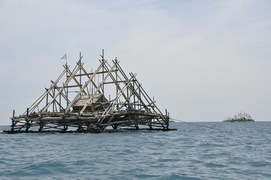 Das sind Fischerstationen, hier werden nachts mit Licht Fische und Schalentiere gefangen