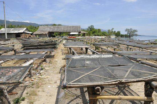 Hier werden die Fische getrocknet