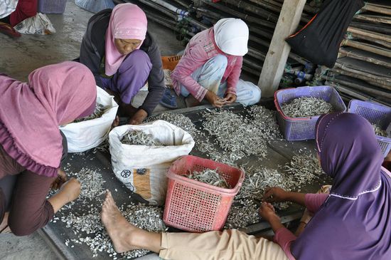 Säckeweise Minifische. Wir sehen noch wie die Frauen entlohnt werden und dann wegfahren.