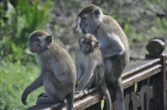 Die Kollegen stehen auch zur Begrüßung da....