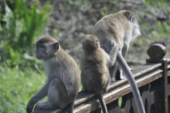 ...interessieren sich aber nicht für uns...
