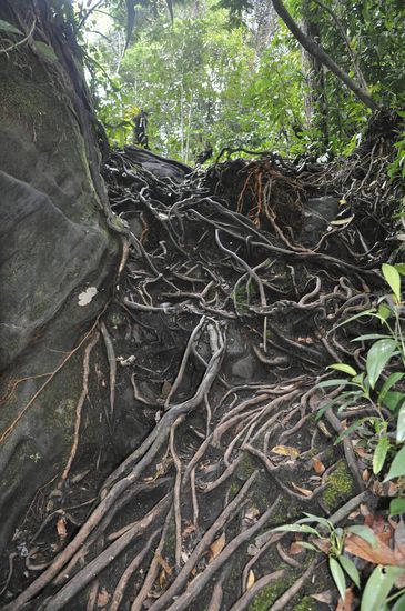 Man kann sich nicht vorstellen wie schwierig so ein Weg ist!