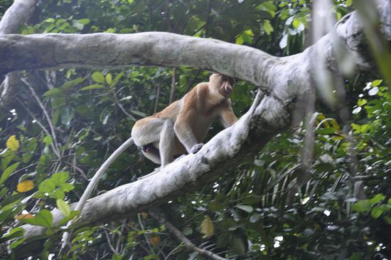 Den treffen wir auf dem Rückweg