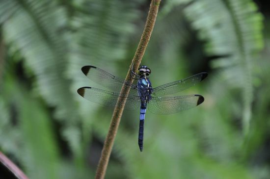 Einfach nur schön...