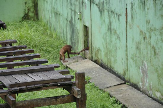 Sein Kumpel ist wohl in Quarantäne oder so, süß wie sie sich die Hand reichen