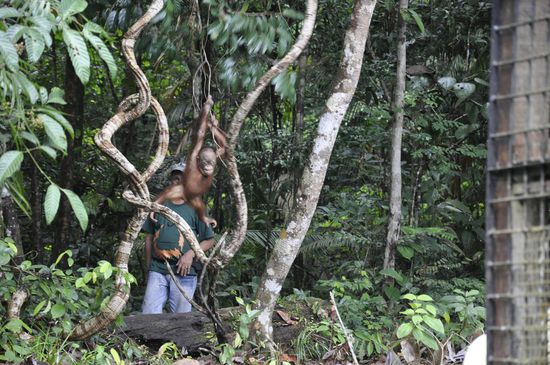 Der Kleine übt noch