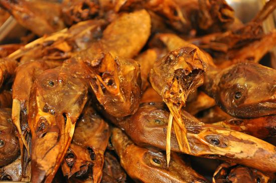 Kann man es ? Entenköpfe!