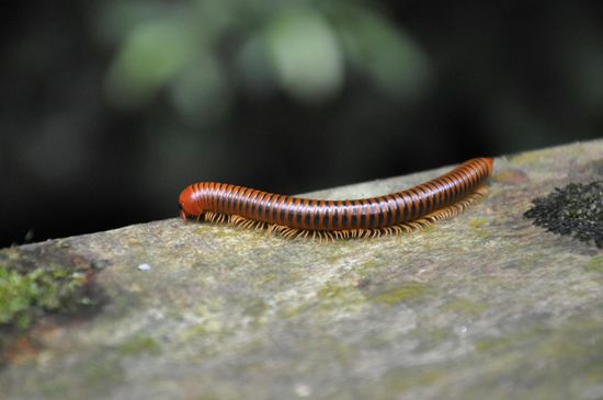 Davon gibts ganz viele