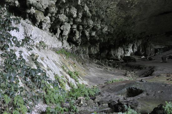 Dann gehts weiter und es wird immer dunkler und die Luft ist feucht und stickig, außerdem stinkt es stark nach Vogelkot von den vielen Schwalben.
Außer den Fledermäusen gibt es hier hunderte bewohnte Schwalbennester.