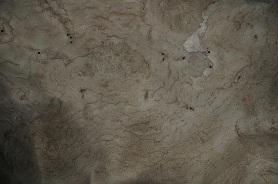 Oben an den Decken sind unzählige Fledermäuse